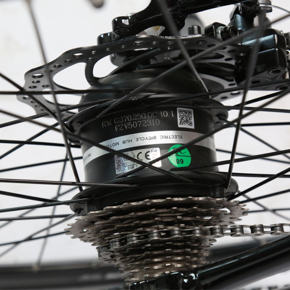 Bicicletă electrică de șosea 700x38C, 250W – eSpeed Road M20 - i - vory|Urban|