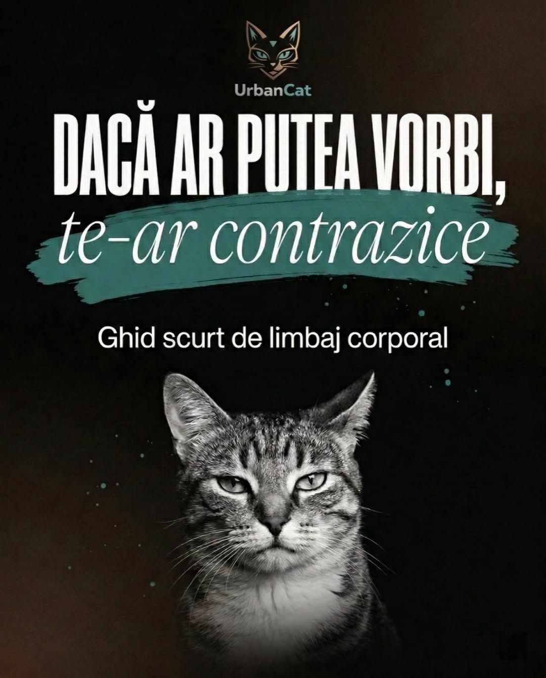 Exemplu hierarchy tipografică clară, slide 1 carusel UrbanCat 164k vizualizări, ghid tipografie Instagram TikTok