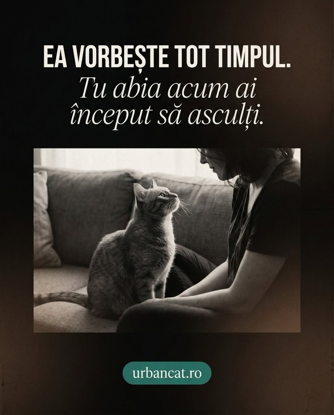 Carusel UrbanCat viral, slide 7 te iubesc clipește încet, final emoțional pet brand storytelling