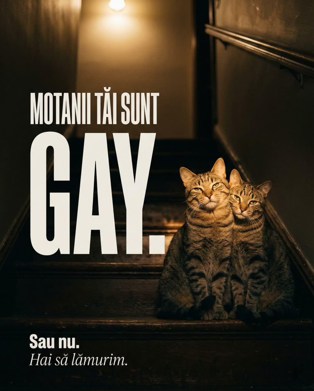 Pattern humor controversial, hook slide 1 carusel UrbanCat abordare umoristică îndrăzneață, content viral