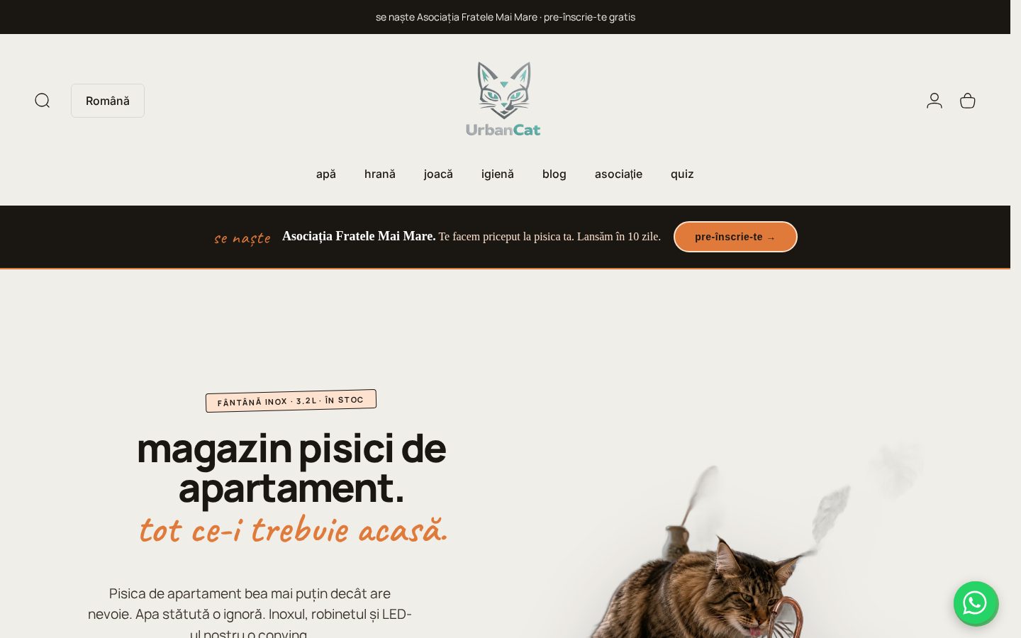 Magazin online Shopify UrbanCat pentru pisici de apartament, proiect e-commerce i-vory Studio